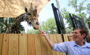 Orlando Sentinel reporter Jon Busdeker feeds the giraffes at the Central Florida Zoo. (Photo by Joe Burbank)